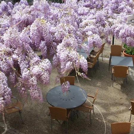 Hotel Logis La Ferme Avignone